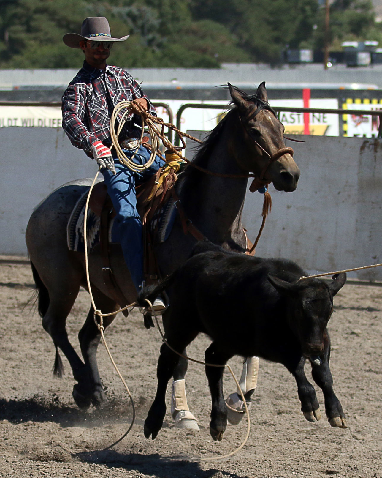 2018 Elko County Fair Open Branding Finals (30).JPG
